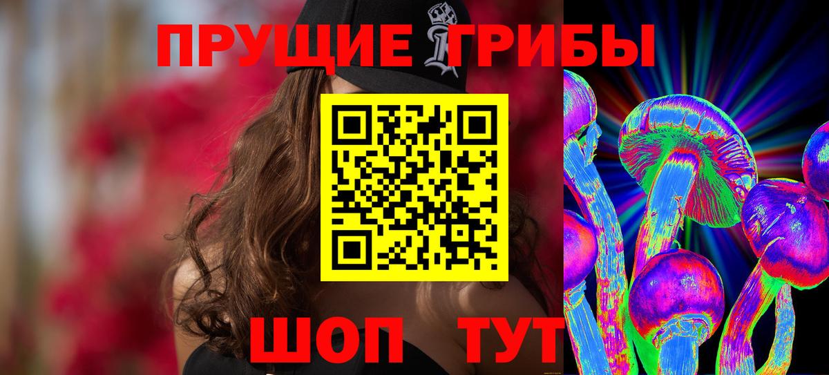 Галлюциногенные грибы Psilocybe  Вход с VPN  цена   Иваново 