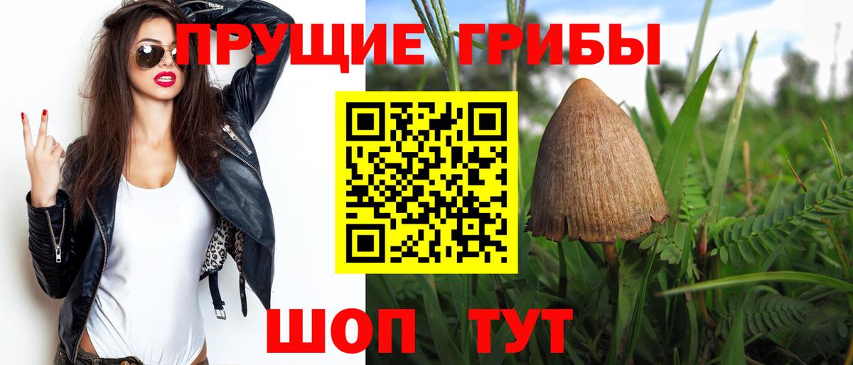 Галлюциногенные грибы Cubensis Иваново